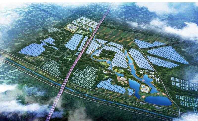 尊龙一人生就是搏滨海太平镇300兆瓦光伏复合发电项目